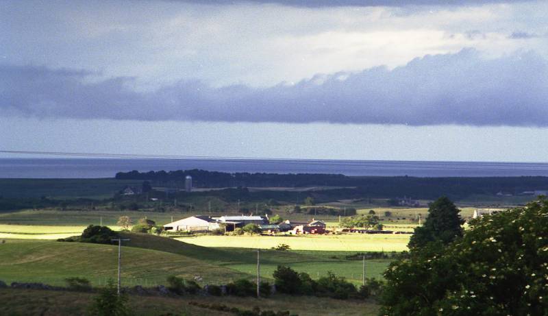 View from a silly house